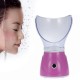 Паровая сауна для лица, ингалятор 2 в 1 Professional Facial Steamer BY-1078 Osenjie