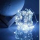 LED гирлянда от USB и Батареек 50 LED 2 в1 на 5м цвет ХОЛОДНЫЙ БЕЛЫЙ