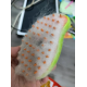 Паровая щетка массажер спрей 3 в 1 PET SPRAY MASSAGE BRUSH для вычесывания собак и кошек с паром